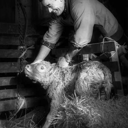 La Casa Sul Ponte * Mercatello sul Metauro