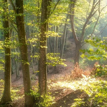 La Casa Sul Ponte * Mercatello sul Metauro